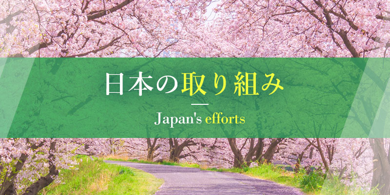 日本の取り組み